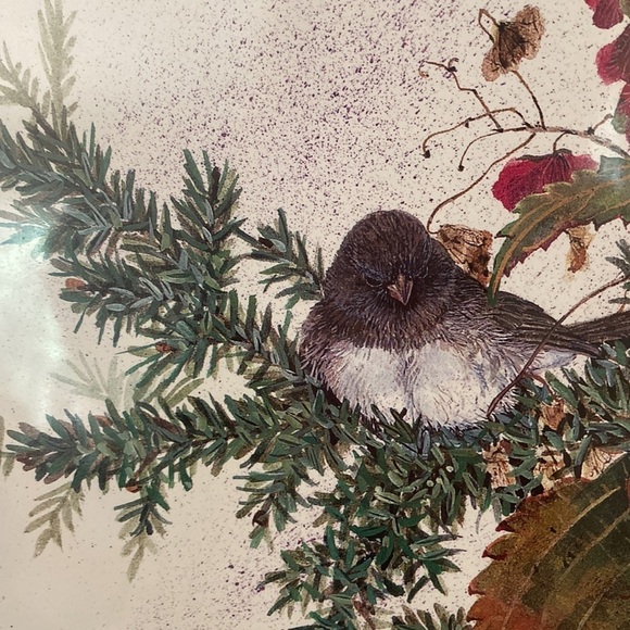 Cyndy Callog 1999 Autumn Junco Print - Picture 1 of 12